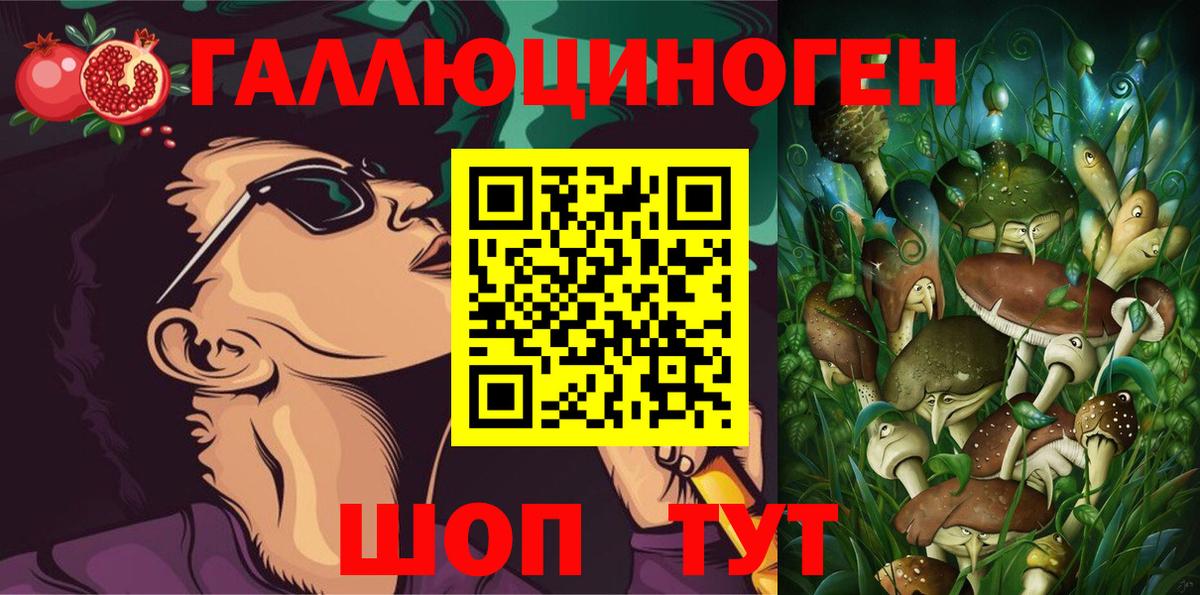 Самара  Псилоцибиновые грибы GOLDEN TEACHER  Вход с VPN 
